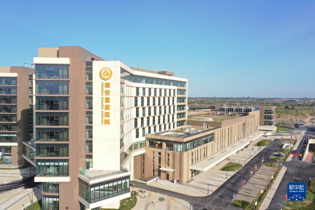 龙宝是什么意思
